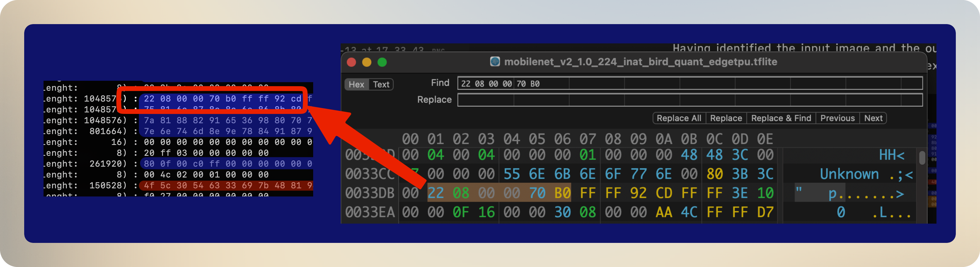 Bytes in model